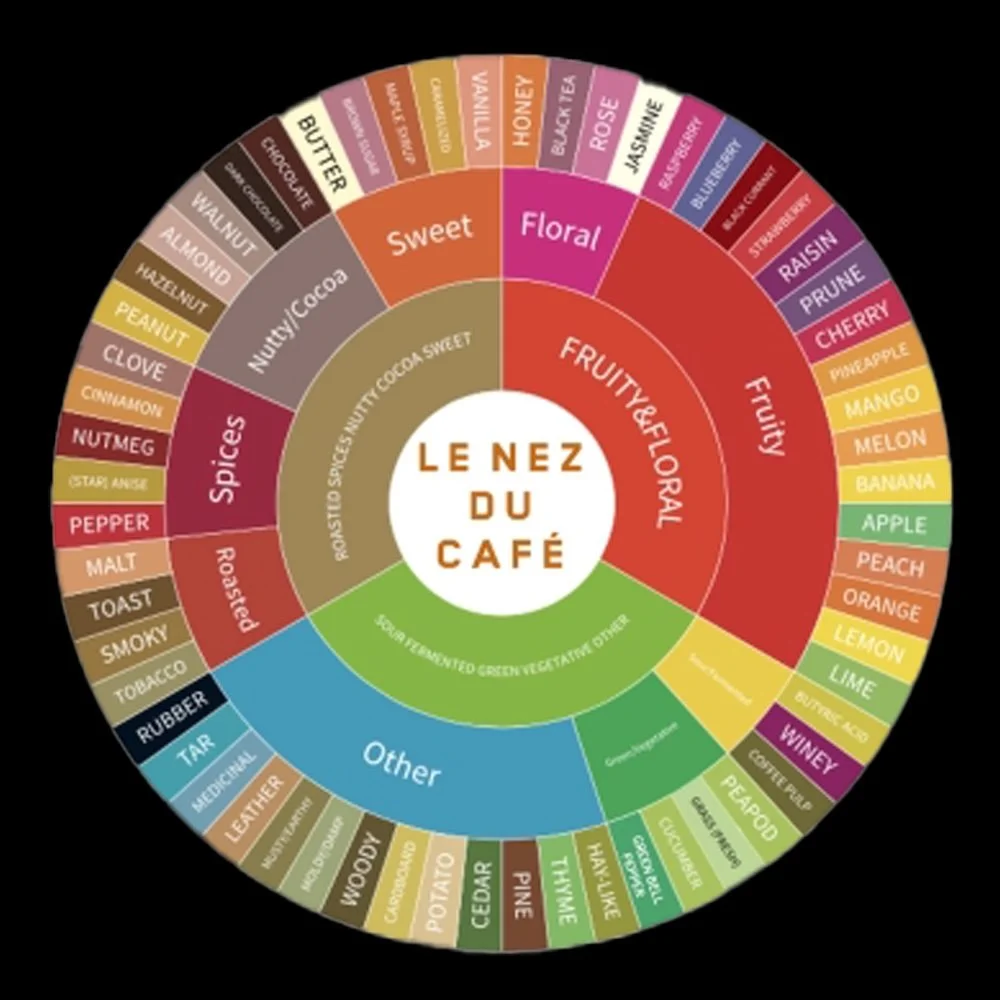 Le Nez du Café　ルネデュカフェ　コーヒー学習　バリスタ　フランス製 楽天市場】【あす楽】【送料無料】_ルネデュカフェ 36種のコーヒー